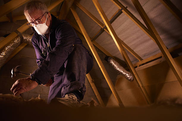 Best Local Insulation Services  in Sudan, TX